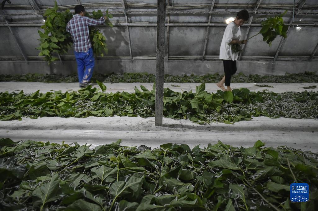 白菜送彩金59网站大全